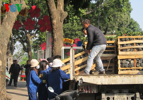 Hanoi welcomes Lunar New Year holiday - ảnh 4